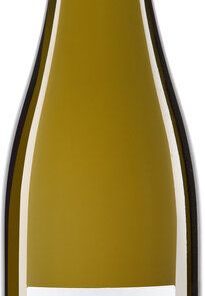 Riegel Bioweine Grauburgunder 100 HÜGEL QW 6 x 0,75l